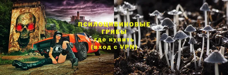 Галлюциногенные грибы Psilocybine cubensis  купить   darknet телеграм  Волчанск 